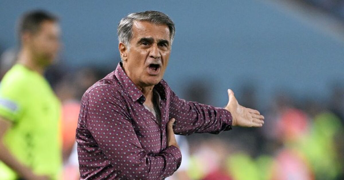 Şenol Güneş: Tüm sorumluluk bana ait